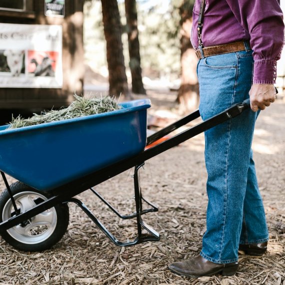 The Best Customer Experience